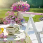 Nyt liv i haven? Her er 14 ting du kan købe i dag