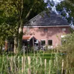 Skal den overgroede have gøres pæn igen - sådan gør du det nemmest og billigst